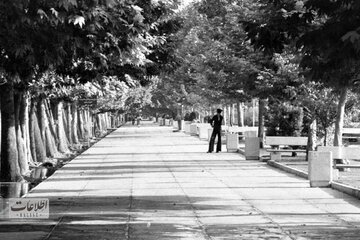 تهران قدیم| سلمانی مشهدی قلی ۶۷ سال قبل در تهران که برای مشتری خالکوبی هم میکرد/ عکس