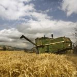 واریز ۵ هزار میلیارد ریال به حساب کشاورزان گندمکار مازندرانی