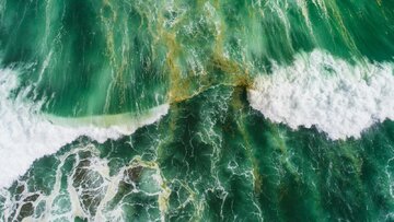 اقیانوسهای سبز در آینده؛ بازگشت به گذشتهای ۳ میلیارد ساله