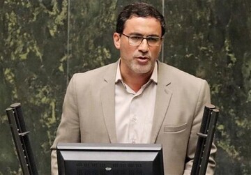 انتقاد نماینده زنجان و طارم از عملکرد برخی سازمانهای اجرایی