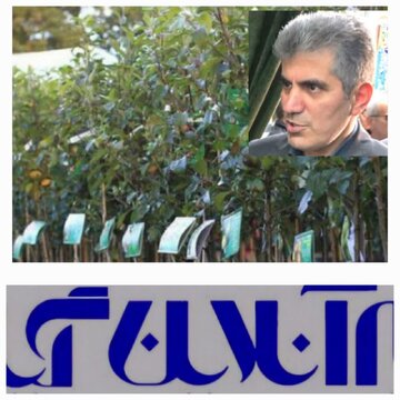 تولید ۶۰۰ هزار اصله نهال مثمر شناسه دار در گیلان