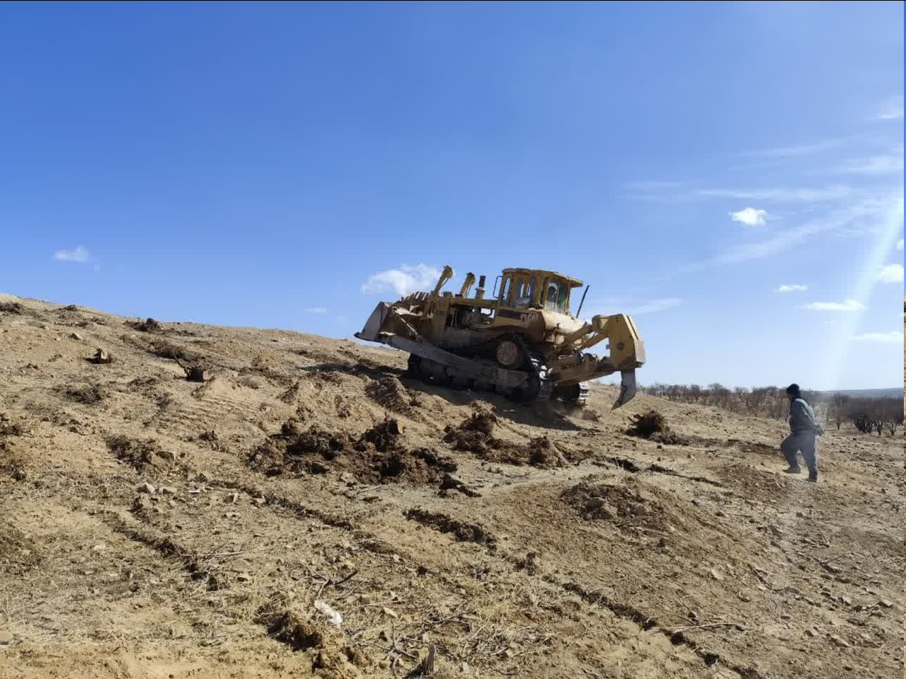 عملیات اجرایی اصلاح و نوسازی ۱۵ هکتار باغات مزرعه امامیه در شهرستان سامان آغاز شد