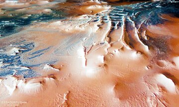 عنکبوتهای غولپیکر مریخ به زمین رسیدند / عکس