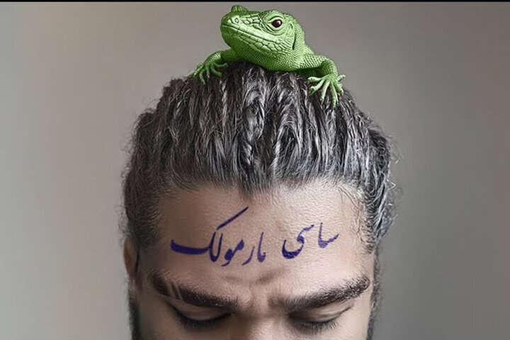 از «منظومه سیمرغ» استاد تا مارمولکی به نام ساسی که به بچهها حمله کرد!