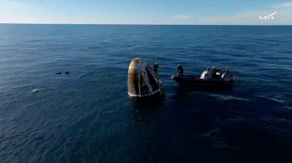 استقبال دلفینها از فضانوردان بازگشته به زمین / عکس