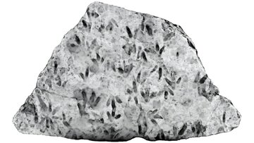 تختهسنگ دکوری در مدرسه، گنجی قیمتی از آب درآمد