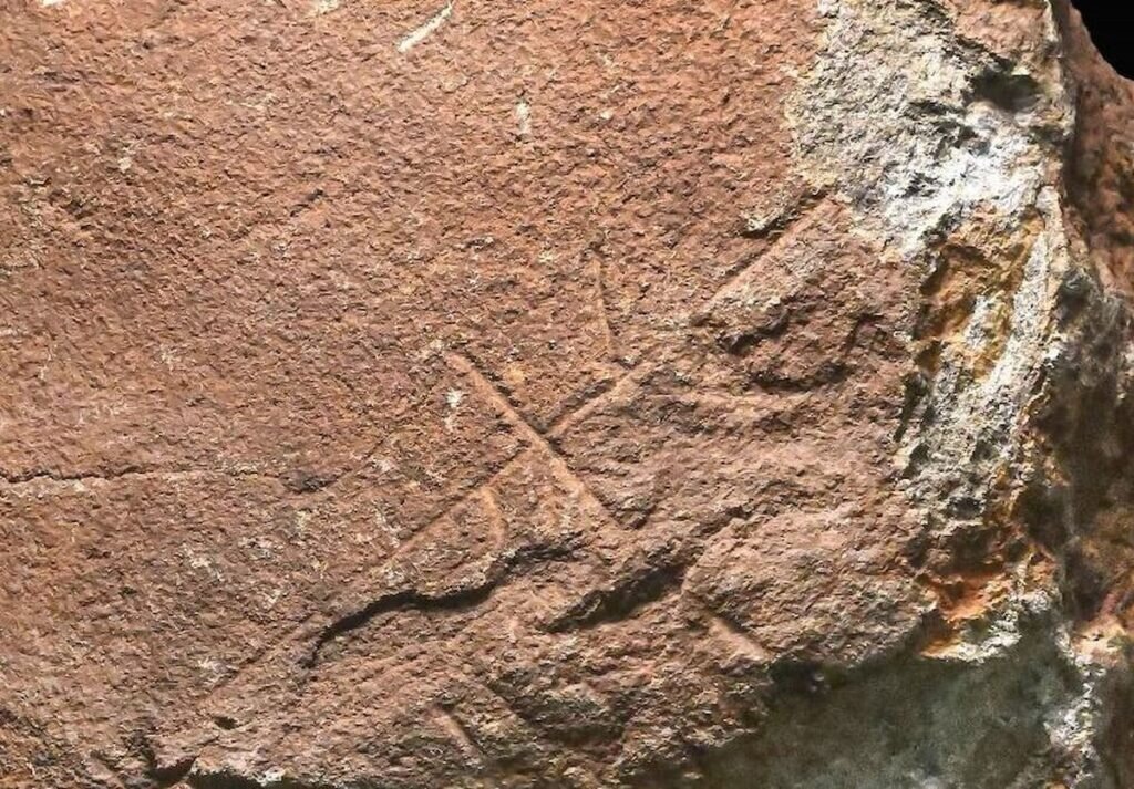 حکاکیهای اسرارآمیز: آیا این نشانههای اولیه هنر است؟