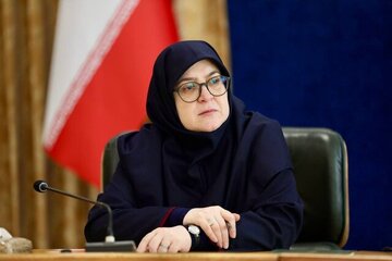 روزنامه اصولگرا به سخنگوی دولت: قانون اساسی را خوانده اید؟/ تحتتأثیر کمپین «زبان فارسی سنگر است» قرار گرفته اید