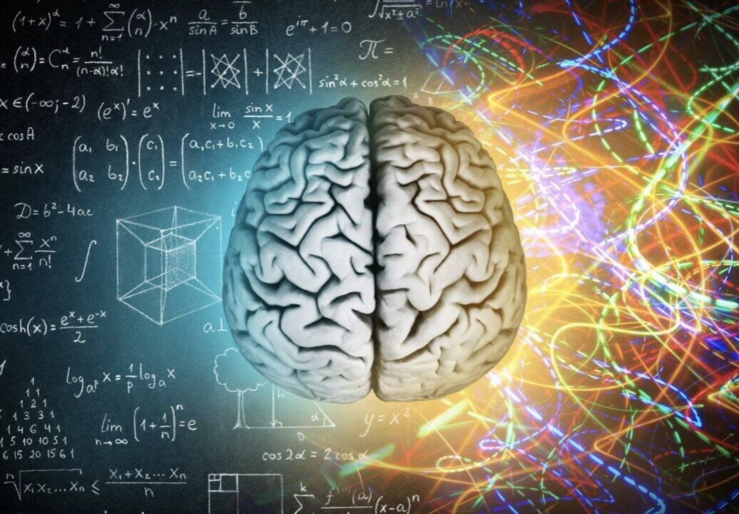 ظرفیت شگفتانگیز مغز انسان: ۱۰ برابر بیشتر از تصورات پیشین