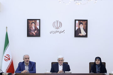 عارف: وقت آن است که تعارف را کنار بگذاریم/ نه کارمند انگیزه لازم را دارد و نه مدیر میداند که آیا فردا هست یا نه