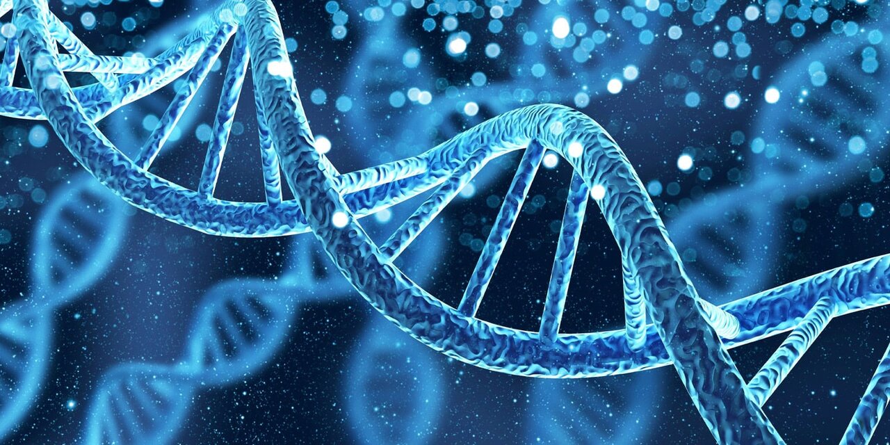 فقرا پیروز نمی شوند / ژن ثروت منافع طبقات بالا را تامین می کند؟/ در خانواده های کم درآمد استعداد سیاسی سرکوب می شود