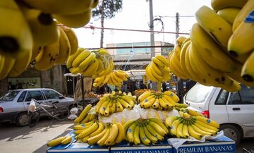 قیمت منطقی هرکیلو موز اعلام شد/ چرا مردم موز را ۱۷۵ هزار تومان خریداری میکنند؟