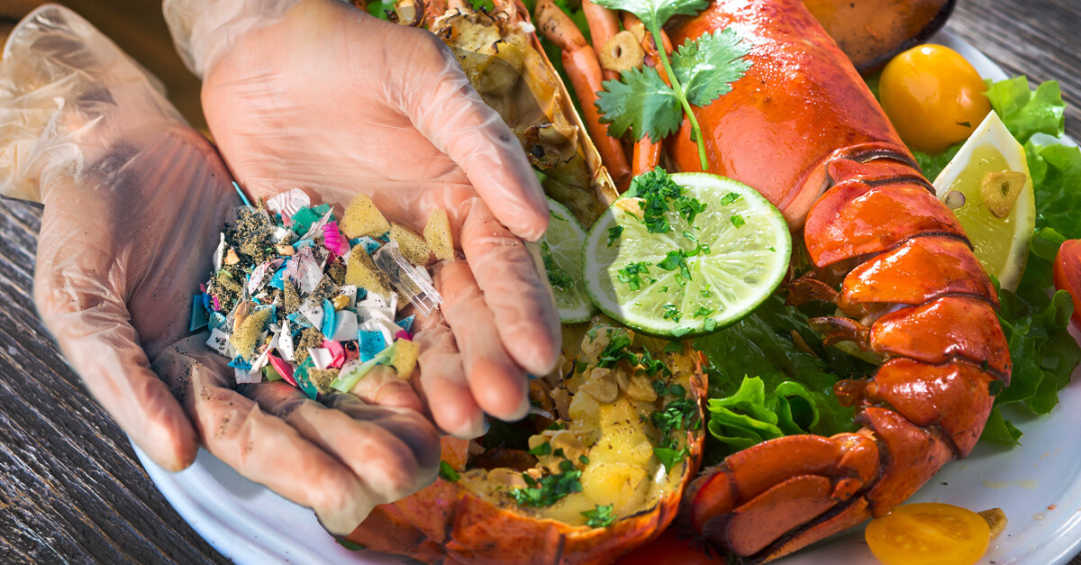 ماهانه چه مقدار پلاستیک میخوریم؟