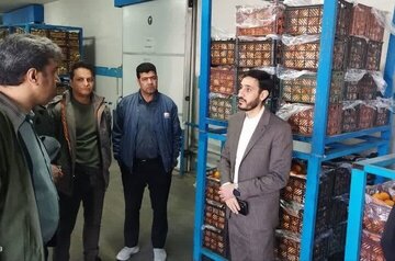 نماینده دادستان کرمان به متخلفان بازار میوه و تره بار هشدار داد