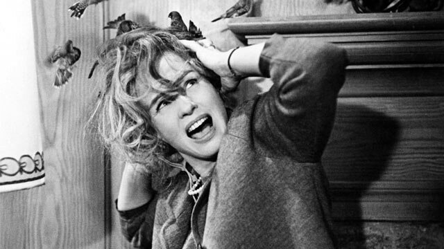 هیچکاک، استاد ترس؛ ۸ فیلمی که هر طرفدار سینما باید ببیند