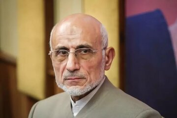 واکنش تند رشیدی کوچی به اظهارات عجیب میرسلیم/ کاش ساکت میشدید!