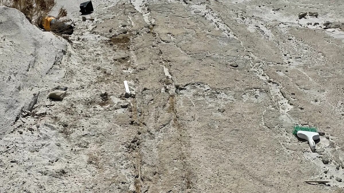 وسیله نقلیهای که ۲۰,۰۰۰ سال پیش مورد استفاده قرار میگرفت