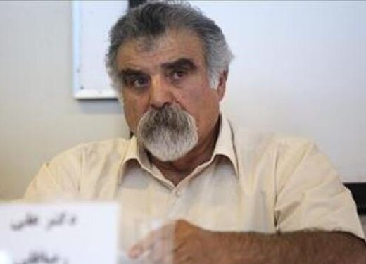 پروژه رضاقلی؛ مولفه ها، و کاستی ها