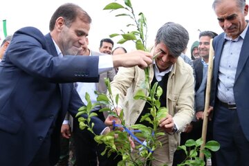 پیشانی طرح بیابانزدایی در کشور استان کرمان است