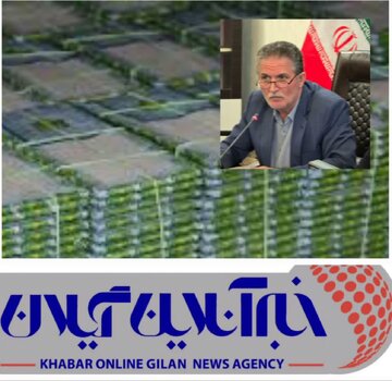 آغاز توزیع تخم نوغان از ۶ اردیبهشت درگیلان/ نوغانداران به مراکز 8 گانه مراجعه کنند