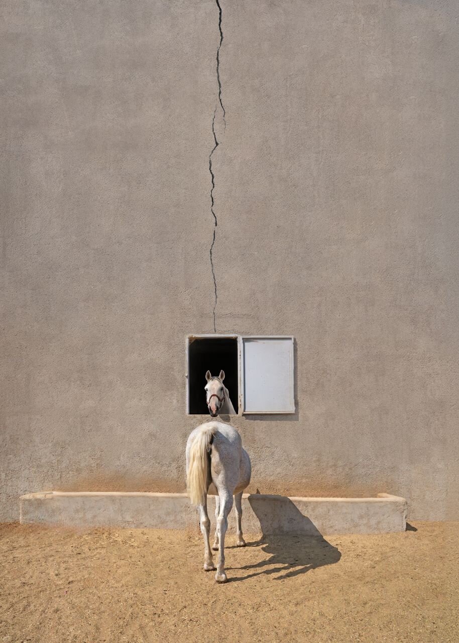 انتخاب خوشرو در مسابقه جهانی ۳۵awards به عنوان ۱۰ عکاس برتر جهان