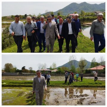 با همه توان در راستای رفع دغدغه کشاورزان این شهرستان تلاش خواهیم کرد