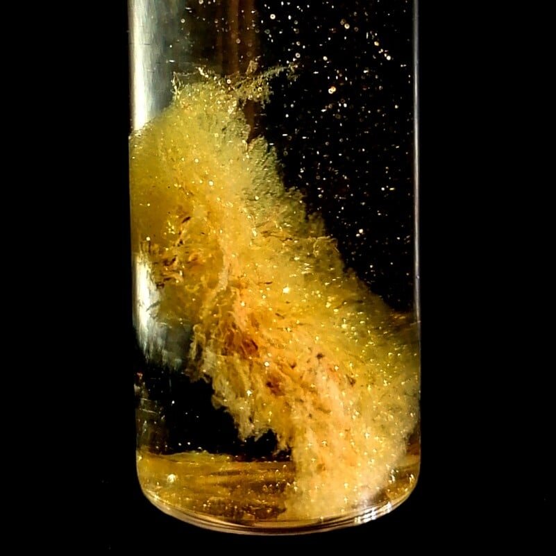 بازیافت طلا با پنیر امکانپذیر شد