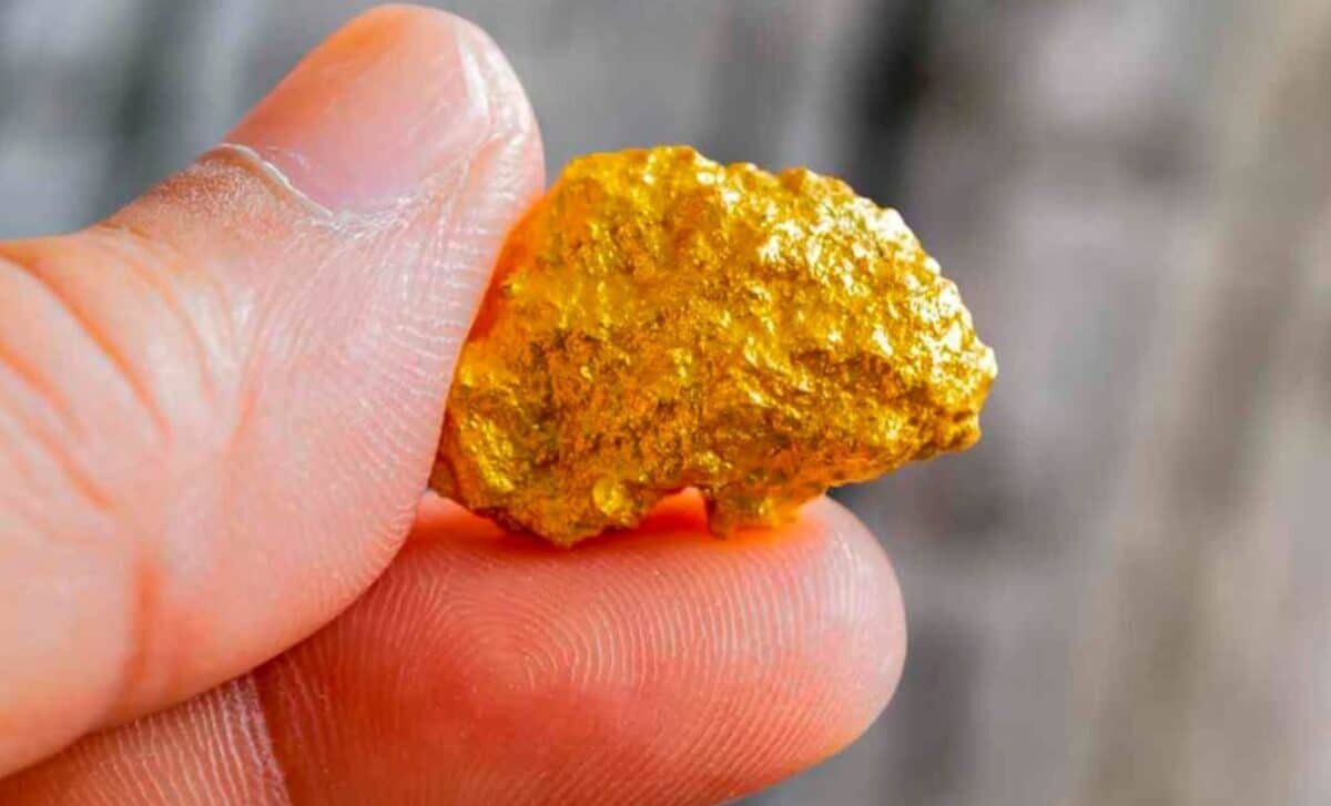 بازیافت طلا با پنیر امکانپذیر شد