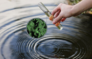 تصفیه آب کل جهان با میکروبهایی که تازه کشف شدهاند