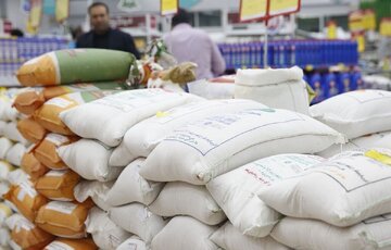 تقلب در کیسههای برنج/ دلالانی که با مخلوط کردن، سودهای کلان به جیبشان میرود!