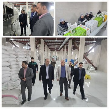 حمایت از واحدهای تولیدی فعال از اولویتهای اصلی مدیریت شهرستان است