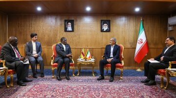 در دیدار پزشکیان با معاون رئیس جمهور زیمبابوه چه گذشت؟/ با وحدت و انسجام می‌توان متجاوزان را مجبور کرد تا دست از جنایت بکشند