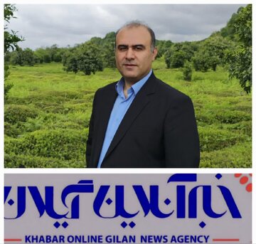 درخواست فرماندار لنگرود برای اخذ ضمانت از کارخانهداران بدحساب چایسازی