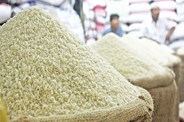 رد ادعای عرضه قطرهچکانی برنج وارداتی/ تامین ارز و تمدید ثبت سفارشها ضروری است