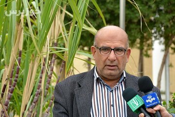 رکوردشکنی تاریخی نیشکر خوزستان؛ تولید ۱۰۰ هزار تن شکر خام در دهخدا و ۱۱۵ هزار تن در امام خمینی(ره)