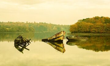 عکاسی که شگفتی آفرید/ عکس