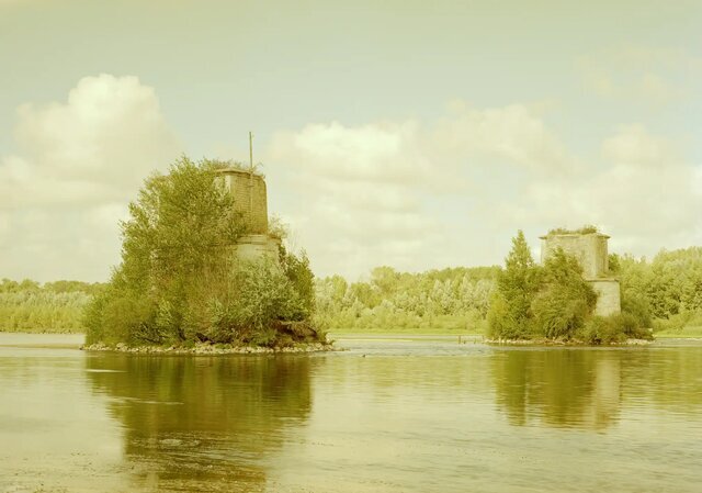 عکاسی که شگفتی آفرید/ عکس