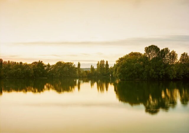 عکاسی که شگفتی آفرید/ عکس