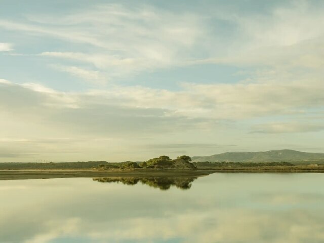 عکاسی که شگفتی آفرید/ عکس