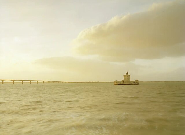 عکاسی که شگفتی آفرید/ عکس