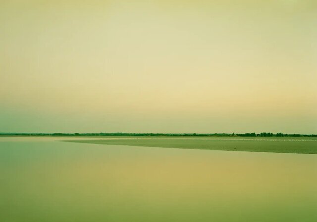 عکاسی که شگفتی آفرید/ عکس