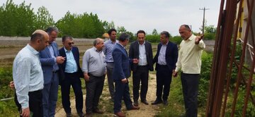 لزوم توزیع عادلانه آب کشاورزی برای تمام اراضی شالیزاری صومعه سرا