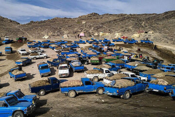 محکومیت ۱۷ میلیاردی قاچاقچی سوخت در سیرجان