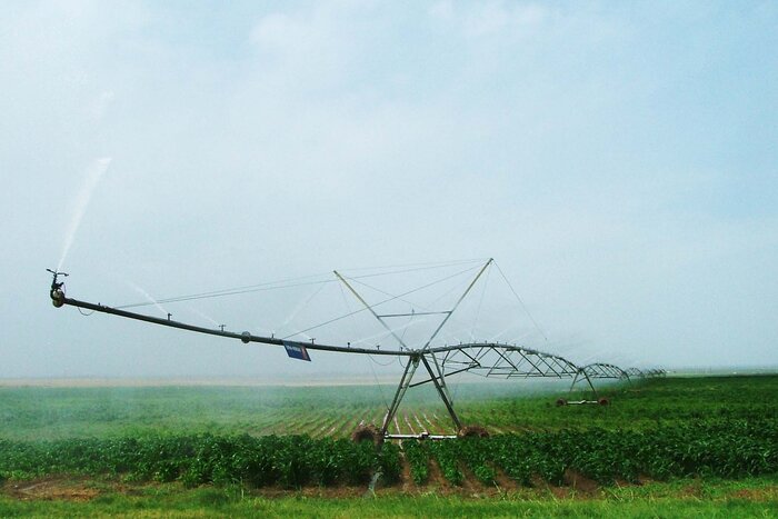 مدیرعامل و اعضای جدید هیات مدیره کشت و صنعت مغان معرفی شدند