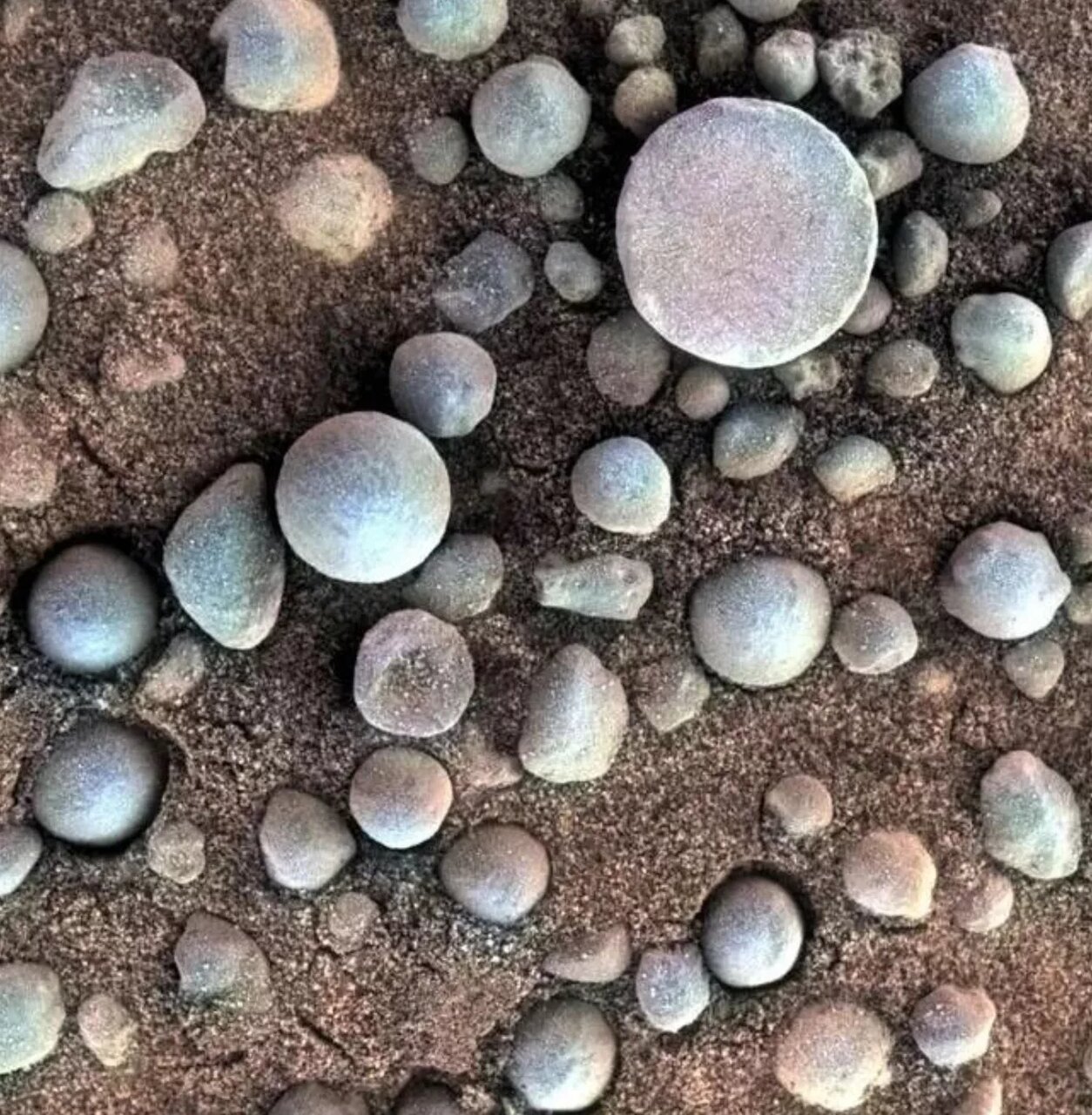 سنگهای مریخی که با نام «بلوبری» شناخته میشوند