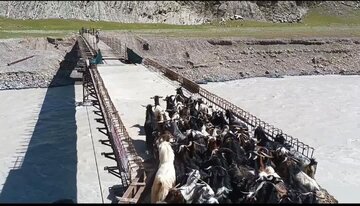 نجات عشایر از گذرگاه مرگ؛ افتتاح پل کول پس از سه دهه انتظار