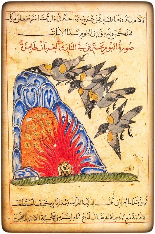 نسخه خطی مصور کلیله و دمنه در کتابخانه بودلیان آکسفورد