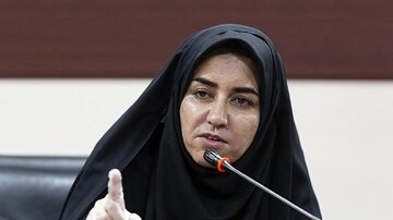 نسخه پیچی نماینده مجلس برای رسانهها/ رسانههای مرجع باید از قرارگاه مرکزی نقشه راه دریافت کنند/ مسئولیت تیم مذاکره کننده از کار میدان سختتر است