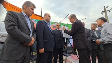 واردات چای با ارز آزاد شد تا تولید داخلی جان بگیرد