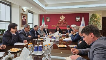 وزیر راه و شهرسازی به زودی به کرمان می آید / بررسی میدانی وضعیت جادهها توسط فرزانه صادق